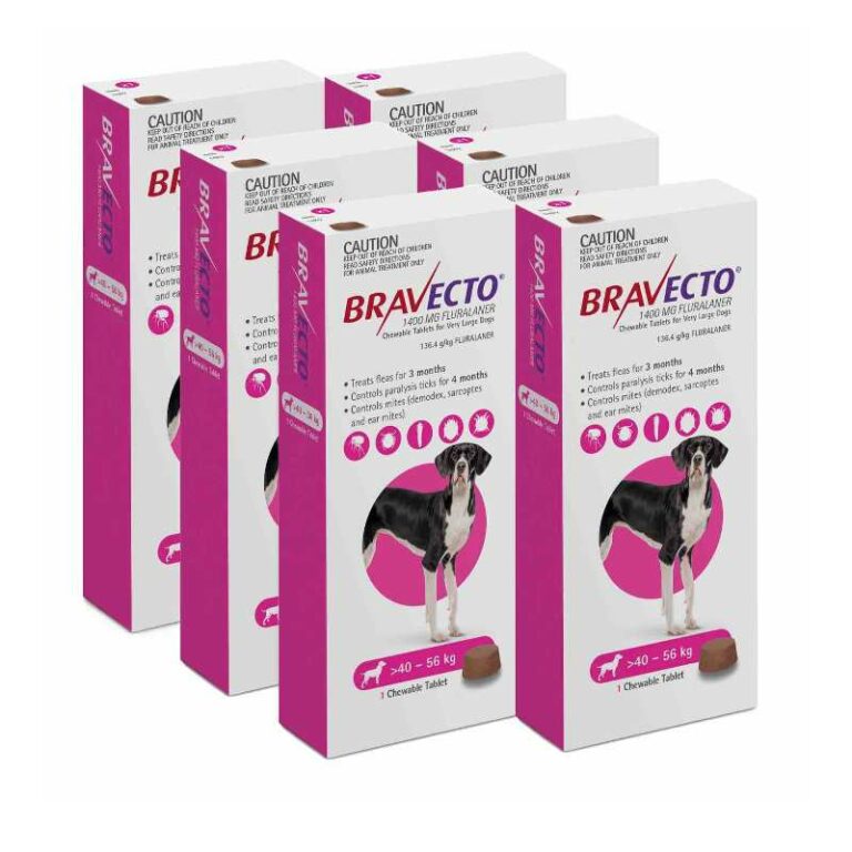 MSD Bravecto Fleas & Tick Removal Tablet (1 Tablet) CP Vet Pet Portal